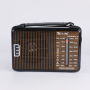 Портативная FM колонка RX-608AC