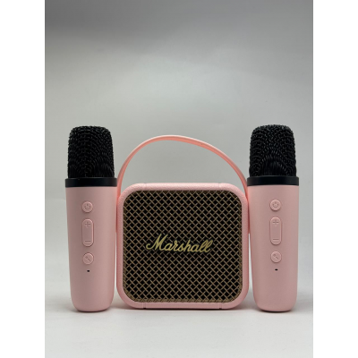 Караоке-колонка Marshall M17K 2MIC (Маршал)