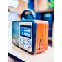 Портативная FM колонка NS-8897BT