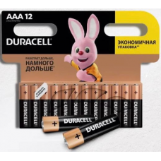Батарейки Duracell AAA12 (12шт)