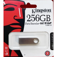 06. KINGSTON Flash Disk USB (256G)