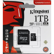 09. KINGSTON Memory Card micro (1Tb)