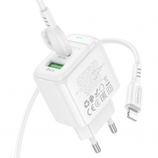 СЗУ Borofone BAS45A Type-C to Lightning