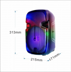 Акустическая колонка QS-2821