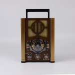 Портативная FM колонка NS-6619BT