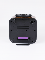 Портативная FM колонка RX-730D