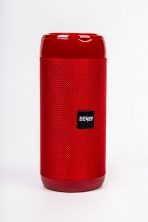 Портативная колонка BENEF BF-216