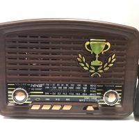 Портативная FM колонка NS-3359BT