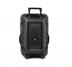 Акустическая колонка QS-1204