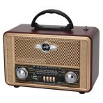 Портативная FM колонка NS-8098BT