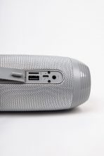 Портативная колонка BENEF BF-223