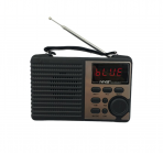 Портативная FM колонка NS-8062BT