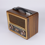 Портативная FM колонка R-2055BT