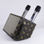 Портативная колонка SK-2035 (караоке)