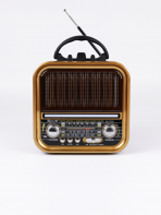 Портативная FM колонка RX-730D