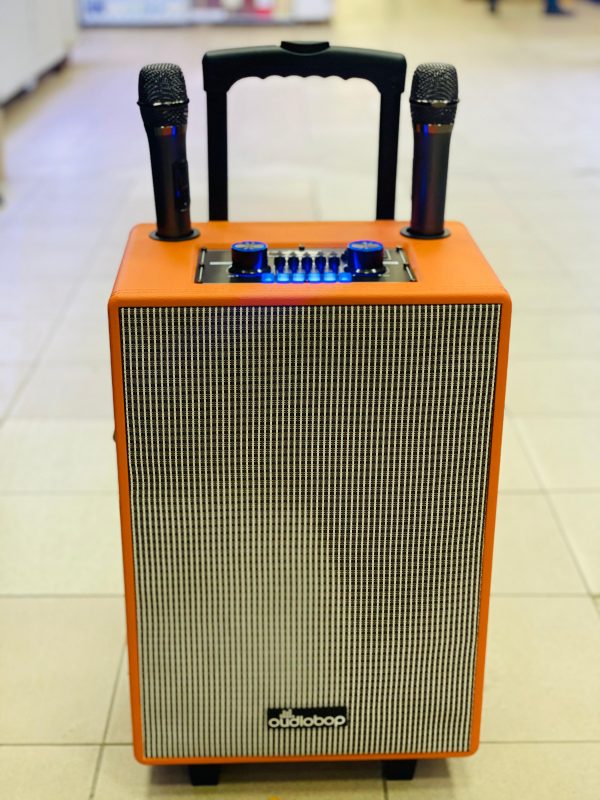 Акустическая колонка oudiobop BK-19 Акустическая колонка oudiobop BK-19