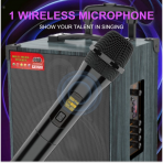 Акустическая колонка Sing-E JQS911S