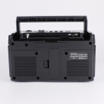 Портативная FM колонка RX-750D