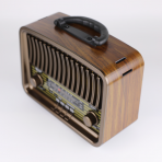 Портативная FM колонка RX-BT929