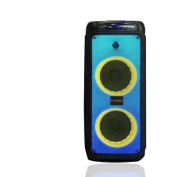 Акустическая колонка QS-4219