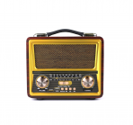 Портативная FM колонка R-2055BT