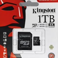 09. KINGSTON Memory Card micro (1Tb)