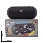 Портативная колонка BENEF BF-231