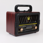 Портативная FM колонка NS-8077BT