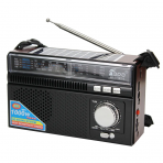 Портативная FM колонка FP-711BT-S