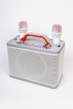 Портативная колонка Y-12 (караоке)