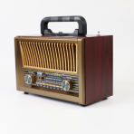Портативная FM колонка NS-2076BT