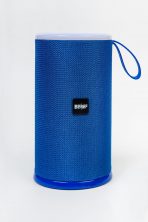 Портативная колонка BENEF BF-227