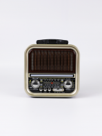 Портативная FM колонка RX-730D