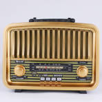 Портативная FM колонка RX-BT929