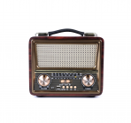 Портативная FM колонка R-2055BT