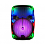 Акустическая колонка QS-2821