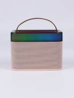 Портативная колонка RM-S578 (караоке)