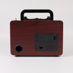 Портативная FM колонка NS-8077BT