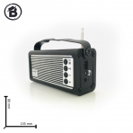 Портативная FM колонка NS-222S