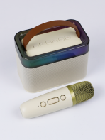 Портативная колонка RM-S578 (караоке)