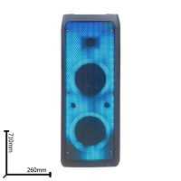 Акустическая колонка QS-216