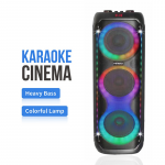 Акустическая колонка QS-8209