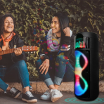 Акустическая колонка ZQS-8223