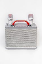 Портативная колонка Y-12 (караоке)