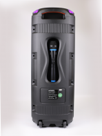 Акустическая колонка QS-4232