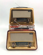 Портативная FM колонка R-2066BT