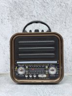 Портативная FM колонка RX-720D