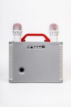 Портативная колонка Y-12 (караоке)