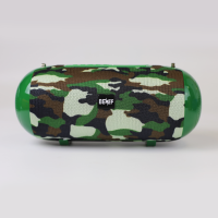 Портативная колонка BENEF BF-231