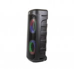 Акустическая колонка QS-2213